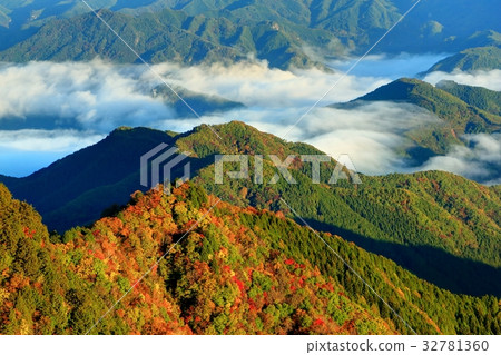 A ridge of colored leaves seen from the Oku Chichibu and Ryokamizan Pass Line A ridge of colored leaves seen from the Oku Chichibu and Ryokamizan Pass Line 32781360