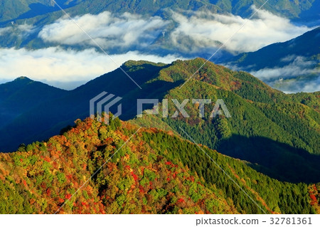 A ridge of colored leaves seen from the Oku Chichibu and Ryokamizan Pass Line A ridge of colored leaves seen from the Oku Chichibu and Ryokamizan Pass Line 32781361