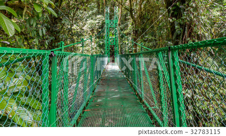 Green hanging bridge in Rainforest of Monteverde 32783115