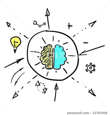 Left and right brain hemispheres 32783498