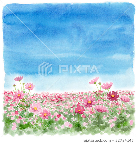 Blue sky and cosmos fields Blue sky and cosmos fields 32784145