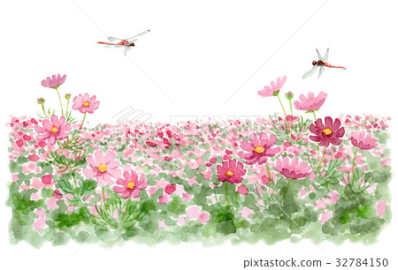 Red dragonfly flying in cosmos field 32784150