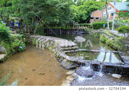 Roar source 32784194