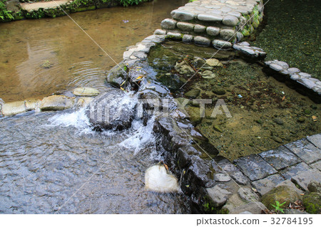 Roar source 32784195