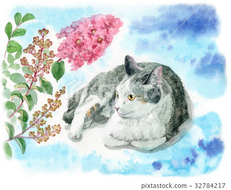 A cat and a baby red flower 32784217