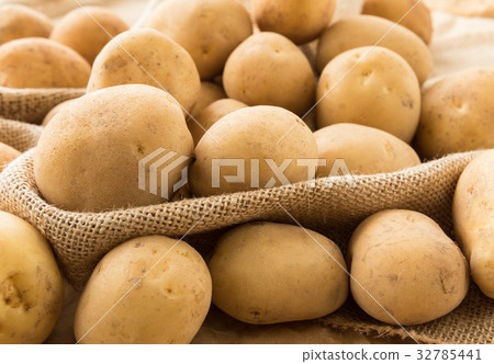 新土豆新土豆新土豆 32785441