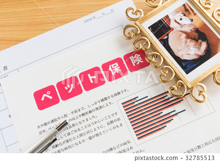 Pet insurance image subscription 32785513