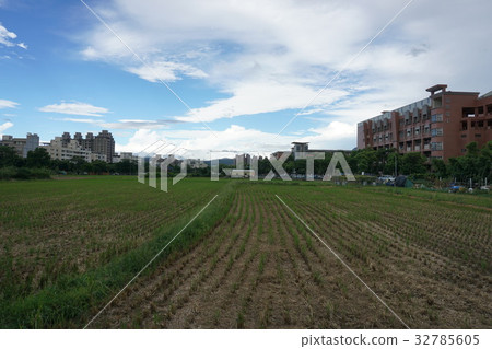 鄉村景觀 32785605