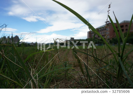 鄉村景觀 鄉村景觀 32785606
