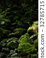 Rocks and moss and water 32785715
