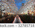 Nakameguro Sakura light up 32785718