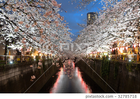 Nakameguro Sakura亮起來 32785718