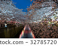 Nakameguro Sakura light up 32785720