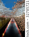 Nakameguro Sakura light up 32785721