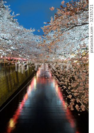 Nakameguro Sakura亮起來 Nakameguro Sakura亮起來 32785721