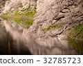 Chidorigafuchi cherry blossoms light up 32785723
