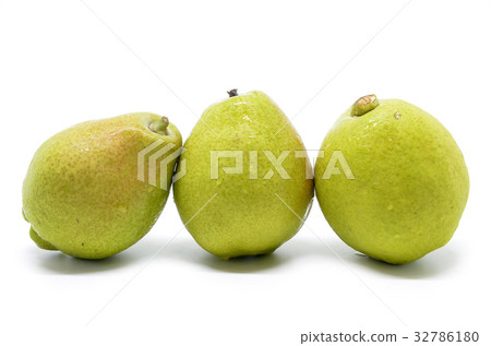 Chinese fragrant pear 32786180