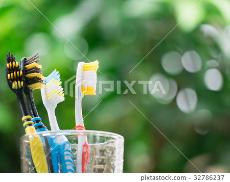 Group family Toothbrushes in glass. 32786237