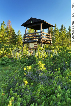 Wooden observation in Krkonose mountains Wooden observation in Krkonose mountains 32786708