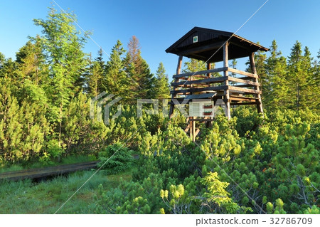 Cernohorske raseliniste observation Cernohorske raseliniste observation 32786709