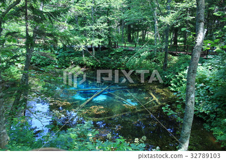 God's Pond God's Pond 32789103