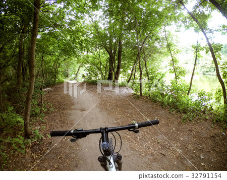 Bicycle steering wheel path forest trees Bicycle steering wheel path forest trees 32791154