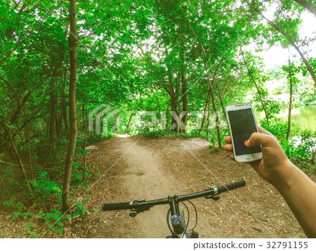 Bicycle steering wheel path forest trees 32791155