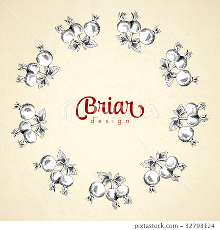 Vintage circle frame briar sketch template Vintage circle frame briar sketch template 32793124