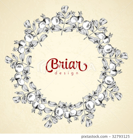 Vintage circle frame briar sketch template Vintage circle frame briar sketch template 32793125