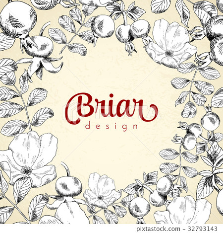 Vintage circle frame briar sketch template 32793143