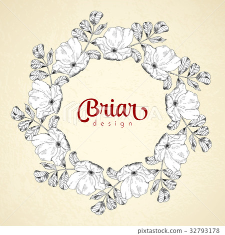 Vintage circle frame briar sketch template Vintage circle frame briar sketch template 32793178