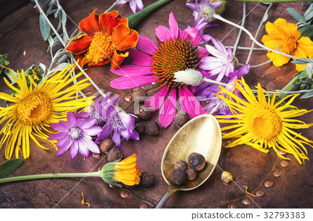 set with healthy herbs set with healthy herbs 32793383