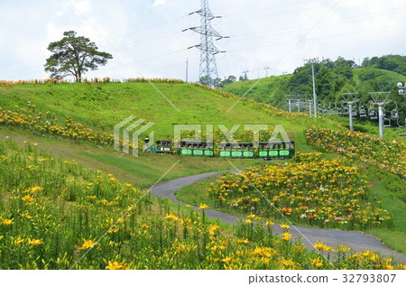 Dyna Land Yurien 32793807