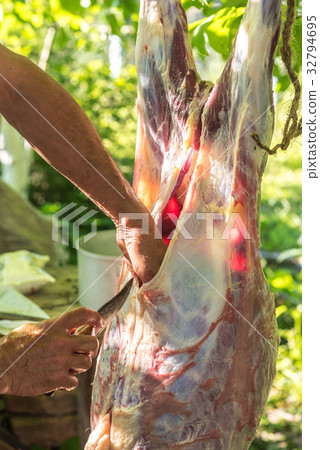 Butcher disassembles carcass of young veal, work 32794695