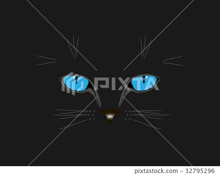 black cat black cat 32795296