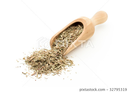 Himesiva: Sheep sorrel 32795319