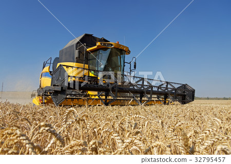 Combine harvester working on a wheat field Combine harvester working on a wheat field 32795457