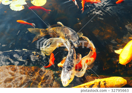 Colorful decorative fish float artificial pond Colorful decorative fish float artificial pond 32795663