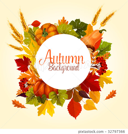 Autumn poster of vector leaf fall and harvest 32797366