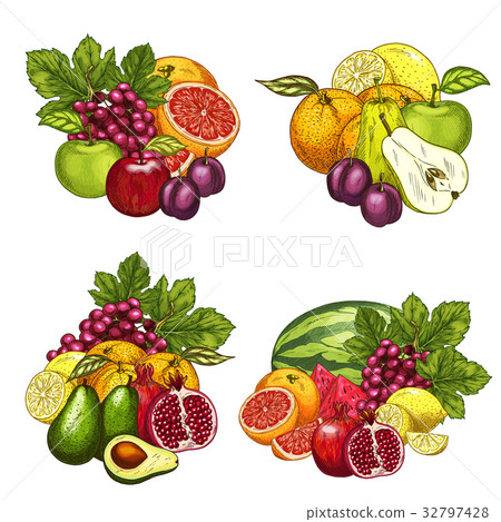 Vector sketch icons of exotic garden fruits bunch 32797428