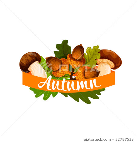 Autumn harvest and leaf fall vector poster - Stock Illustration ...