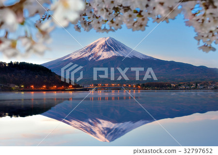 Fuji Mountain and Sakura Branches at Kawaguchiko 32797652