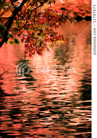 Autumn leaves Karuizawa Unba Pond Autumn leaves Karuizawa Unba Pond 32797673
