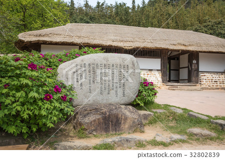 Kim Young-ran的胎記牡丹 32802839