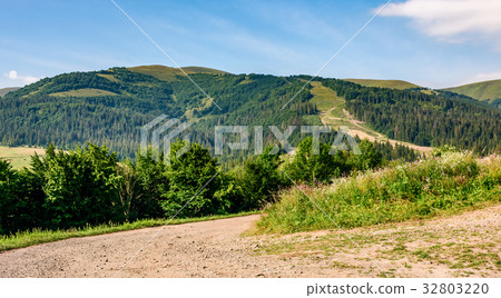 countryside road through meadow to mountains 32803220