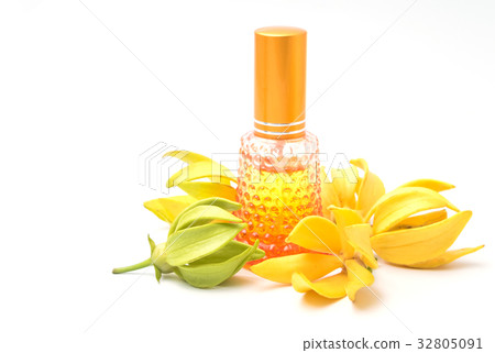Ylang-Ylang oil with flowers ,aromatherapy  32805091