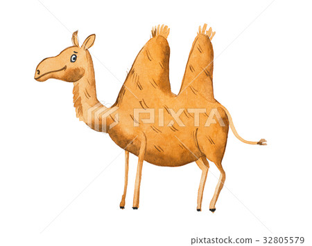 Hand drawn illustration of kind camel Watercolor 32805579