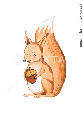 Hand drawn portrait of cute squirrel holding acorn 32805581