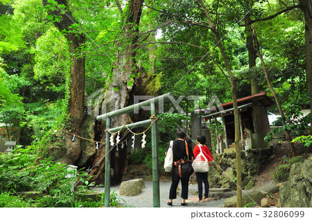 Atami Kinomiya Shrine No. 2 Daigo and worshipers Atami Kinomiya Shrine No. 2 Daigo and worshipers 32806099
