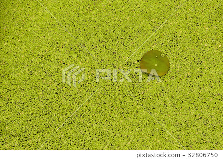 Yeonpyeong, Sanglim Park, Hamyang-gun, Gyeongnam, Korea Yeonpyeong, Sanglim Park, Hamyang-gun, Gyeongnam, Korea 32806750